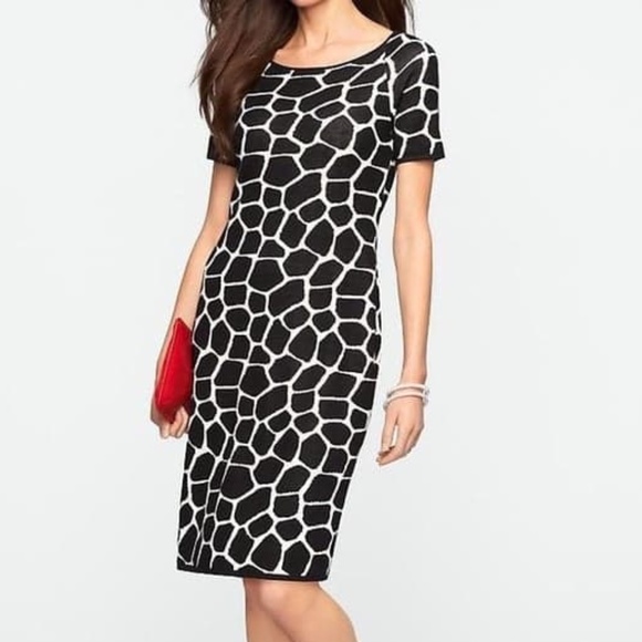 Talbots Dresses & Skirts - NWT Talbots sweater dress black/white